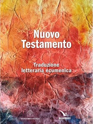 Immagine-18-01-25-17.00 Immagine-18-01-25-17.00